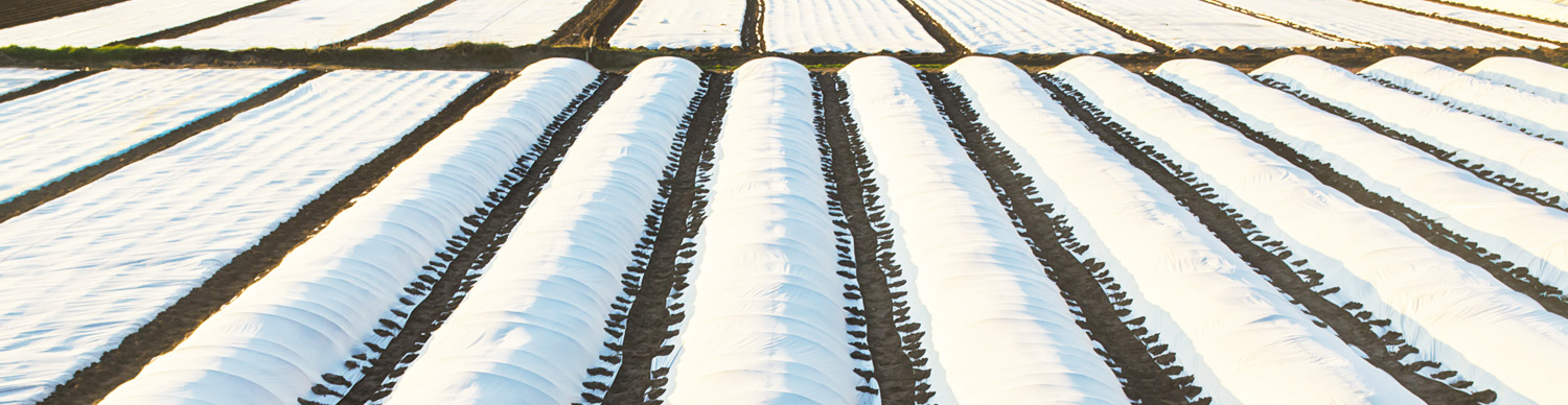 Spunbond Fabric used on Farm